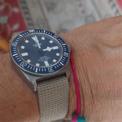 mn22 tudor